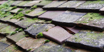 Upton roof repair costs
